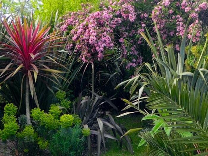 Visite libre du jardin, Jardin du Radiophare, Cherbourg-en-Cotentin