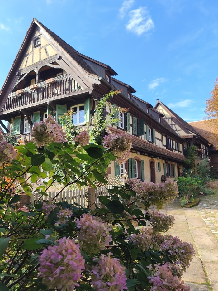 Visite libre du jardin paysager et poétique d&rsquo;une ancienne ferme alsacienne, Au Fil du Temps, Imbsheim