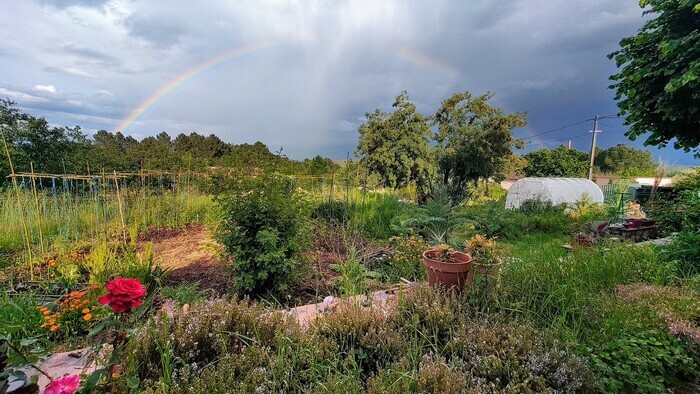 Visite libre du Jardin Solidaire et Partagé, Jardin Solidaire et Partagé de Rosières, Rosières