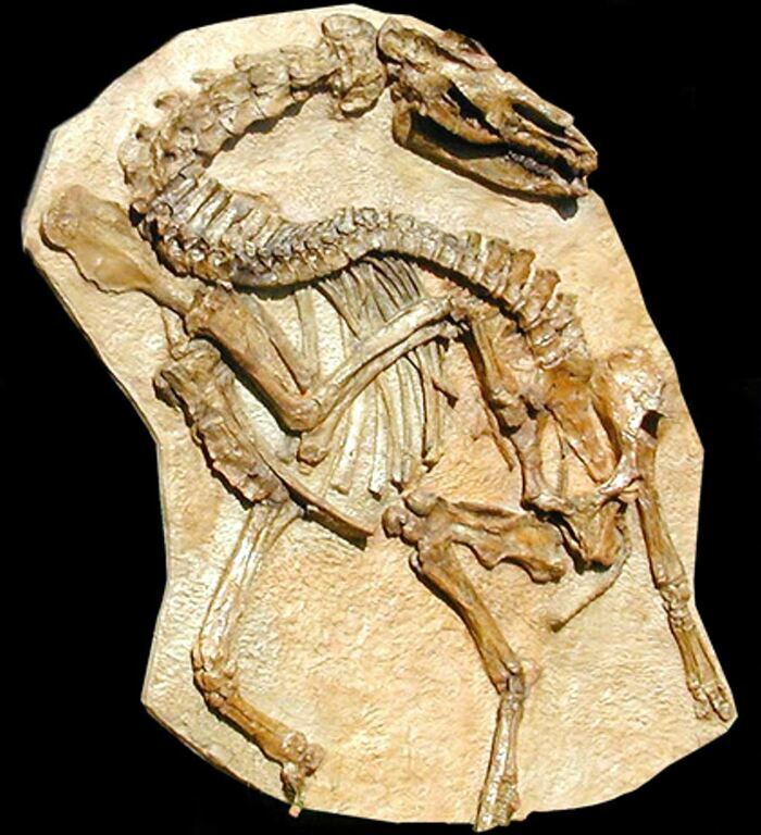 Visite libre du Musée Centre culturel de Mormoiron Mormoiron