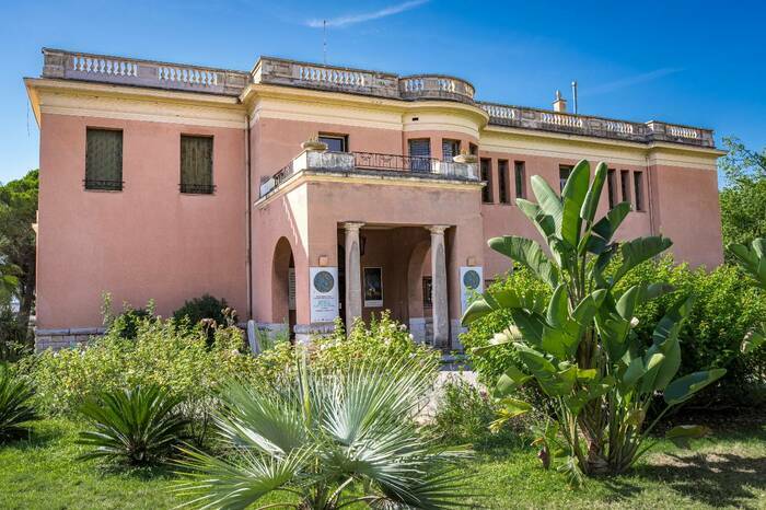 Visite libre du musée et de son exposition temporaire « Africa Pop », Musée d&rsquo;art naïf Anatole Jakovsky, Nice