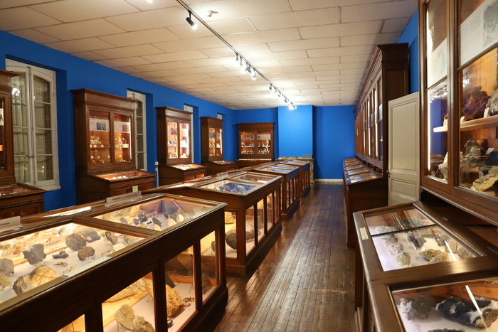 Visite libre du muséum Philadelphe Thomas, Muséum d&rsquo;histoire naturelle Philadelphe Thomas, Gaillac