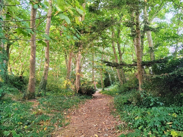 Visite libre du parc, Château et parc de Kergroadez, Brélès