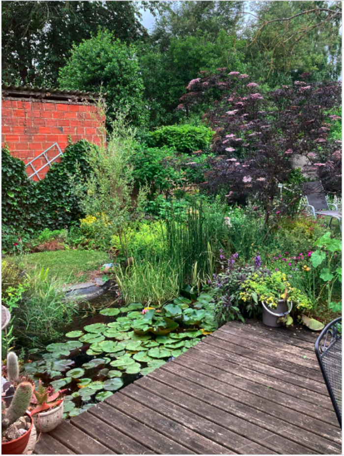 Visite libre d'un jardin urbain Un jardin en ville Vernon