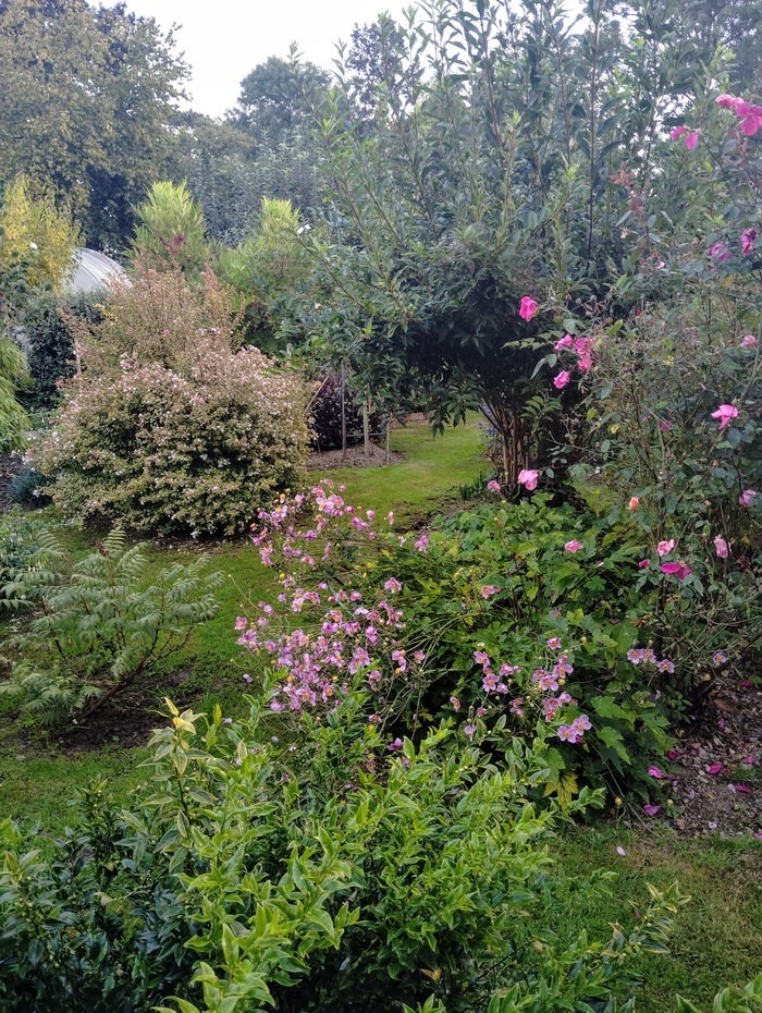 visite libre, jardin de ST SAMSON, Pré-en-Pail-Saint-Samson