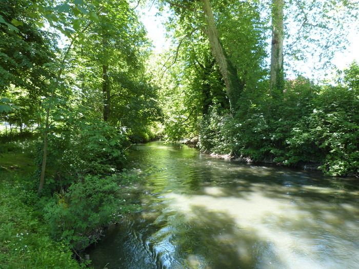 Visite libre : les peintres prennent possession du parc environnemental Fréderic Passy, Parc environnemental Frédéric Passy, Gisors