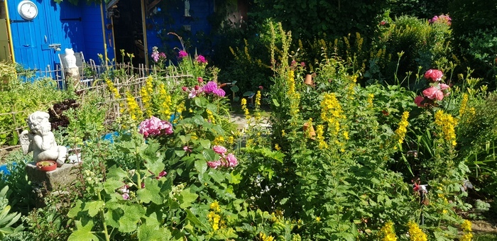 Visite libre ou commentée d'un jardin de grand-mère Le jardin de pierre Allennes-les-Marais