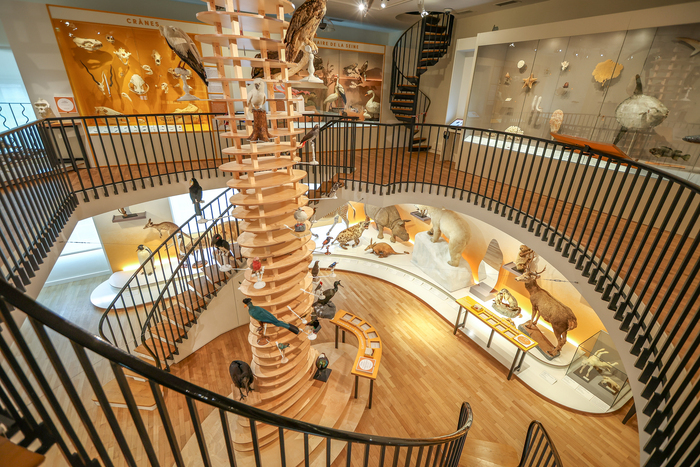 Visite libre : redécouvrez le Muséum d’histoire naturelle du Havre !, Muséum d’histoire naturelle, Le Havre