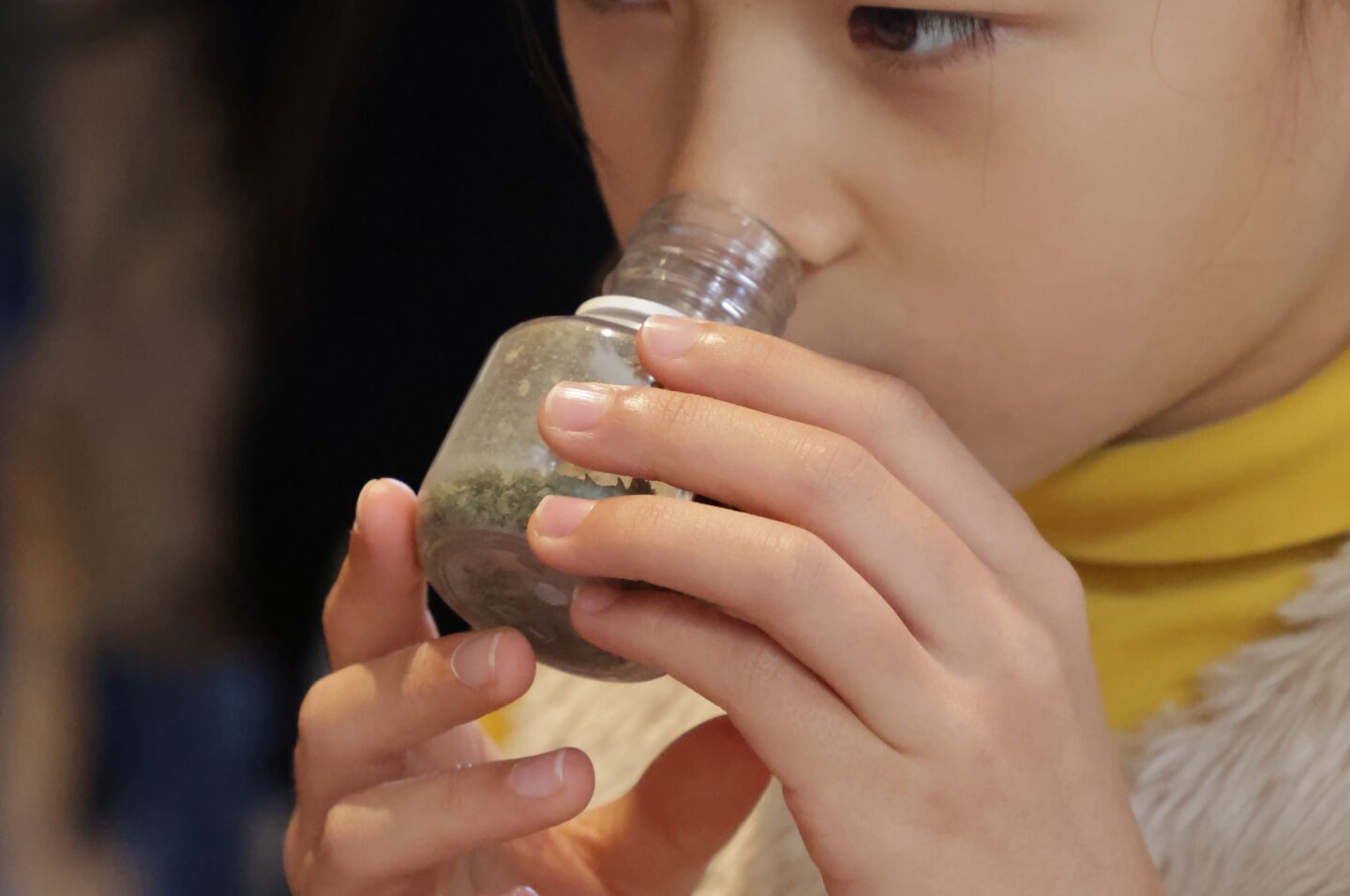 Visite ludique Nature et sens en éveil  Troyes