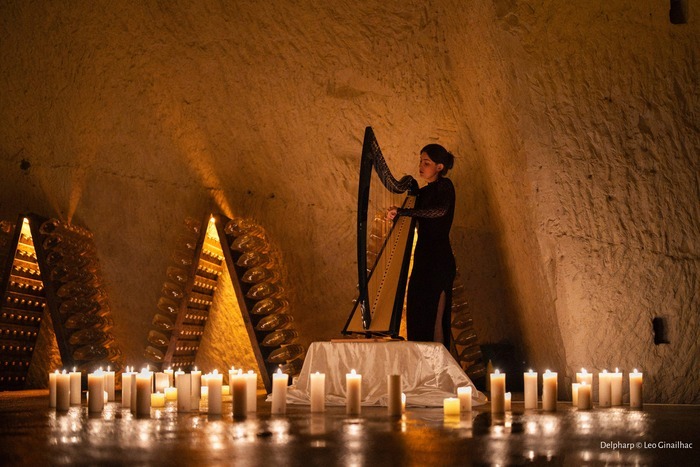 Visite musicale de la Maison de Fer, Maison de Fer, Poissy