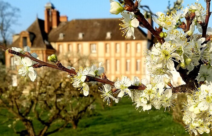 Visite nocturne des jardins et vergers, Musée National de Port-Royal des Champs, Magny-les-Hameaux