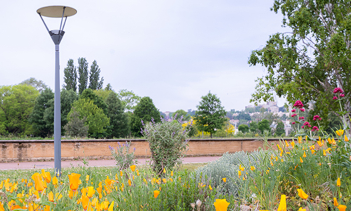 Visite : Parc de  Gerland, Parc de Gerland, Lyon