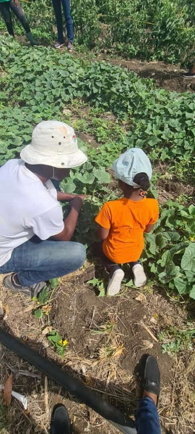 Visite pédagogique d'une exploitation agricole MR SALADE Anse-Bertrand