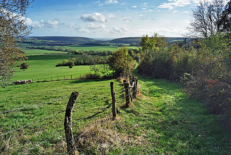 Visite thématique au Val d&rsquo;Esnoms Balade-conférence, lecture du paysage du Val-d’Esnoms et du plateau de Langres  Le Val-d&rsquo;Esnoms
