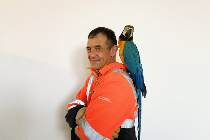 Visites avec l’artiste Emmanuel Louisgrand Musée d'art moderne et contemporain de Saint-Étienne Métropole Saint-Priest-en-Jarez