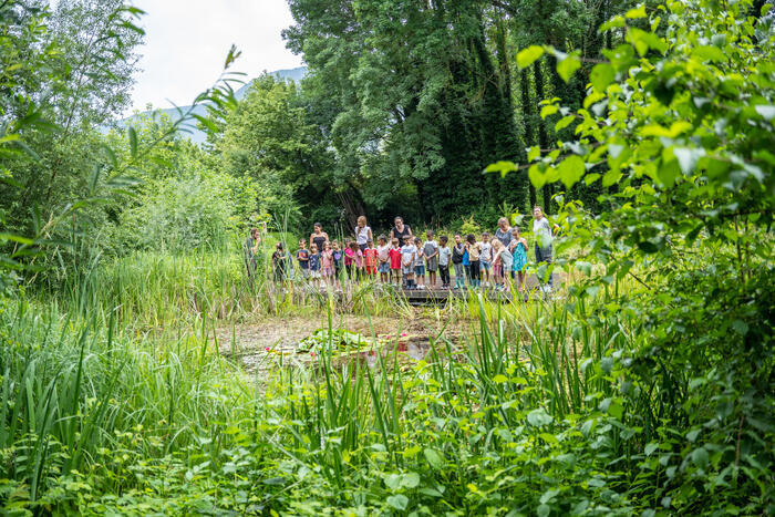 Visites découverte du jardin pédagogique de l’île d’amour, Jardins pédagogiques de l’île d’amour, Meylan