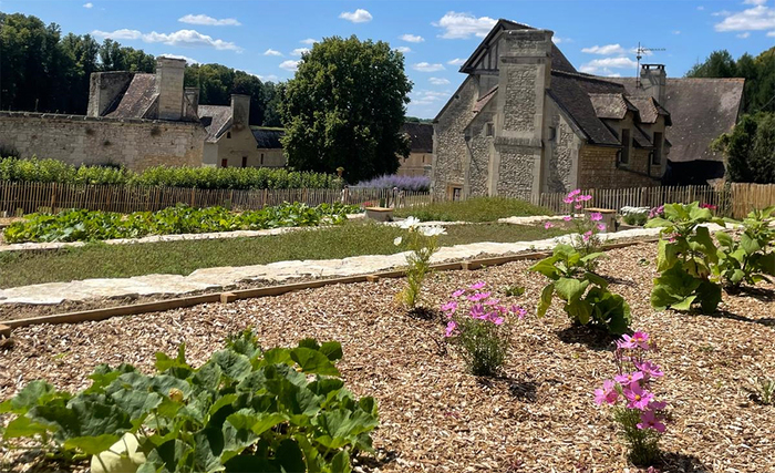 Visites du Potager conservatoire, Domaine de Villarceaux, Chaussy