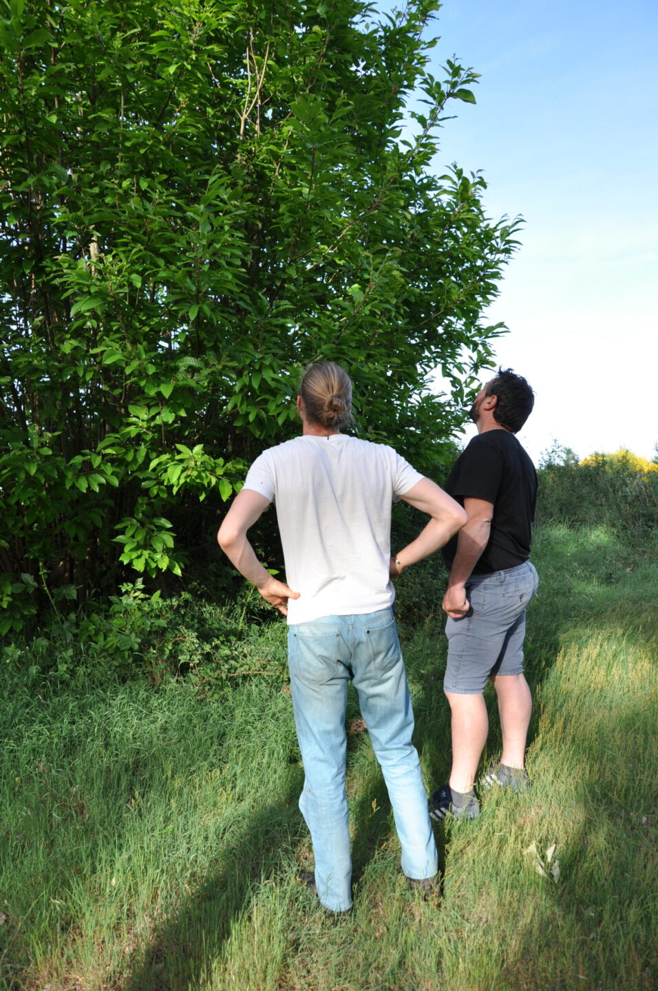 Visites et ateliers au coeur de la forêt comestible Arboraison  Briare