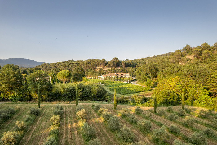 Visites guidées et dégustations au moulin Bastide du Laval, Moulin à huile d&rsquo;olive bio et domaine Bastide du Laval 199 chemin de la Royère, Cadenet