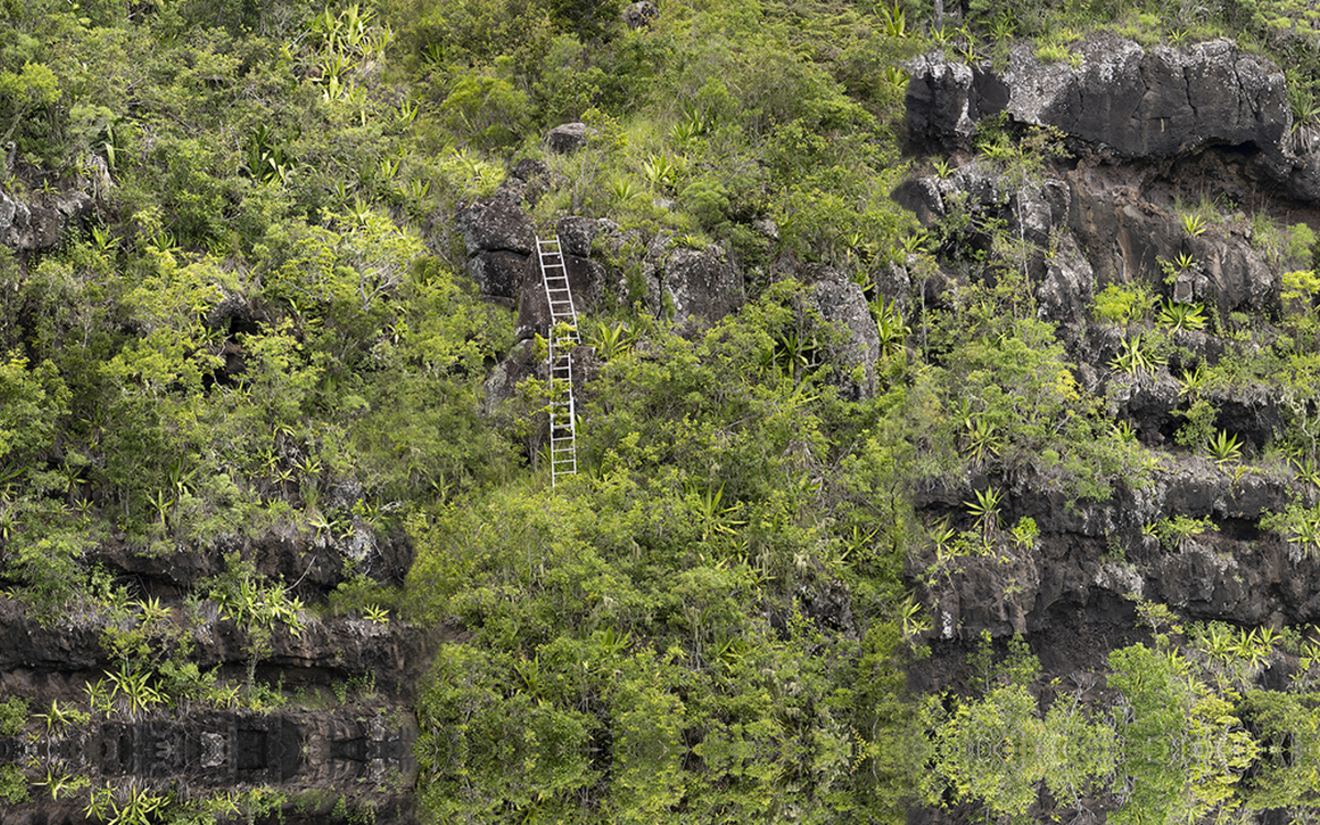 « Voir le Vivant Autrement » une exposition dans le jardin et les serres d&rsquo;Auteuil Jardin des Serres d&rsquo;Auteuil Paris
