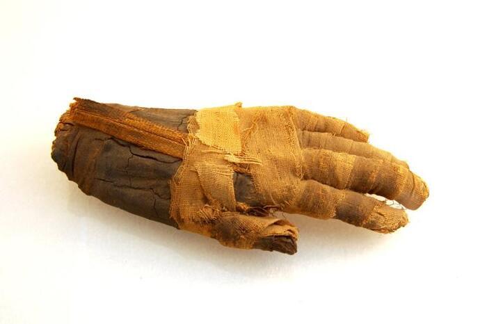 Votre nuit aux musées de Grasse – les musées prennent vie, Musée international de la Parfumerie, Grasse