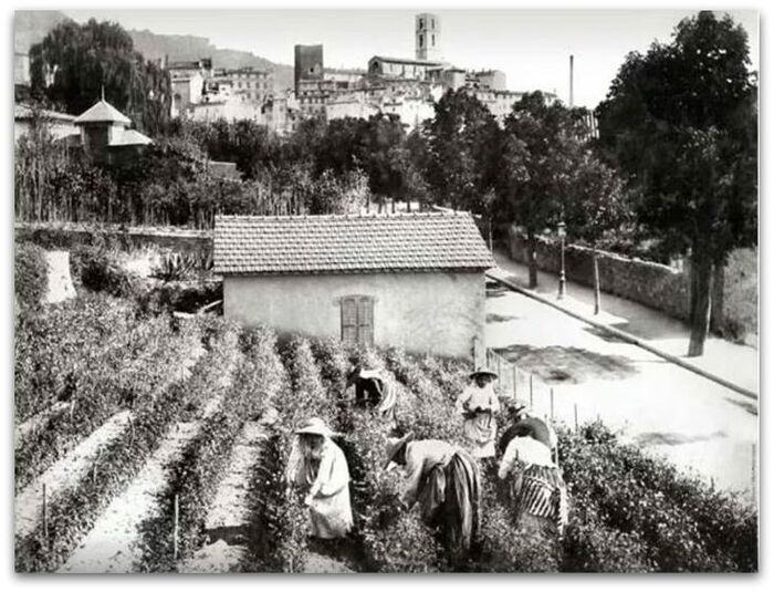 Votre nuit aux musées de Grasse - les musées prennent vie Musée international de la Parfumerie Grasse