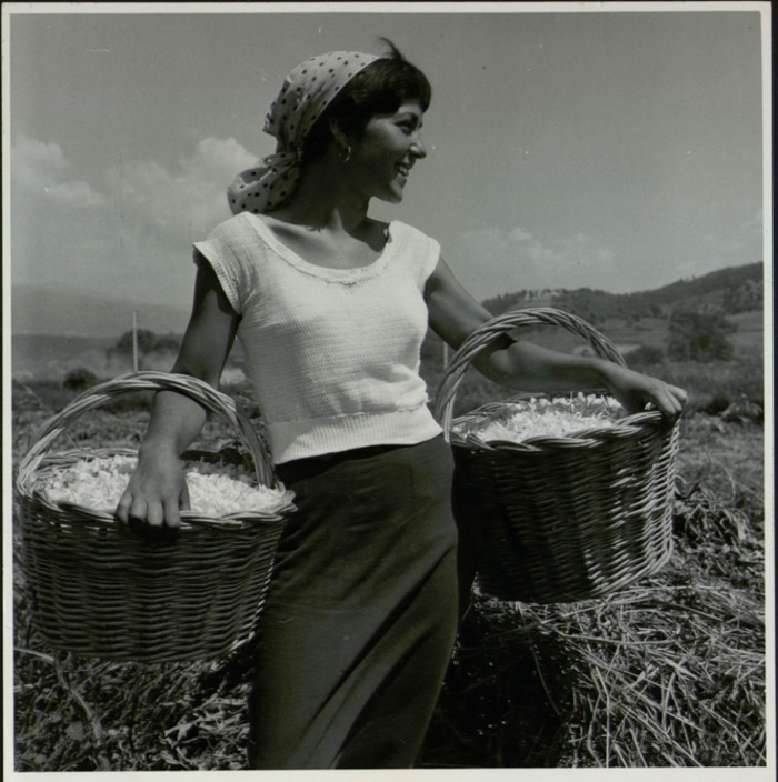 Votre nuit aux musées de Grasse - les musées prennent vie Musée international de la Parfumerie Grasse