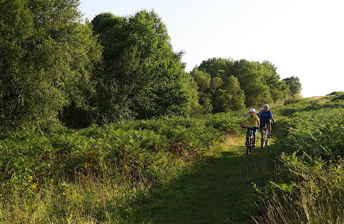 VTT N°73 Bois de Haut Oloron-Sainte-Marie Pyrénées-Atlantiques