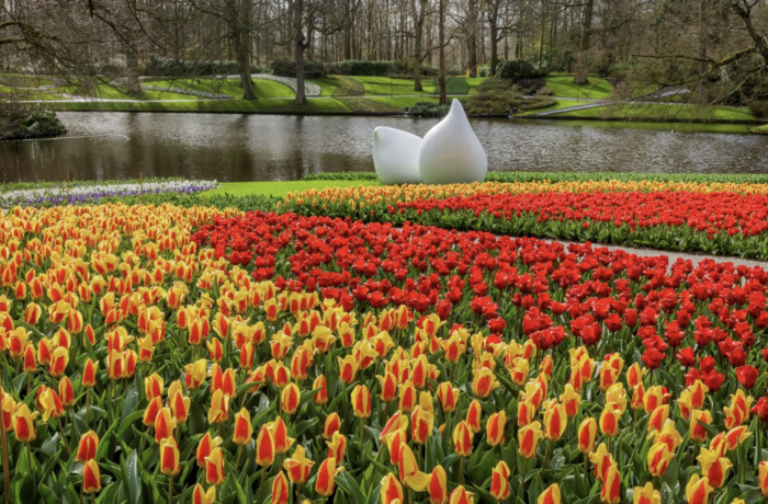 Vue de jardins en images et en sons Coup de Pouce a.s.b.l. Luxembourg