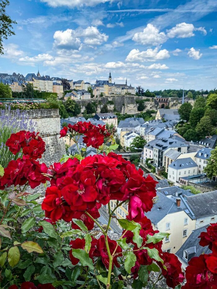Vues sur la Ville Haute et les Fortifications – visite guidée, Luxembourg City Tourist Office (LCTO), Luxembourg