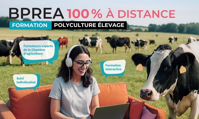 Webinaire - Présentation du BPREA à distance Évènement digital - Chambre d'agriculture Pays de la Loire Angers