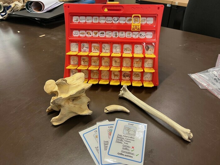 Y&rsquo;a comme un os !, Village de l&rsquo;archéologie de Lyon – Centre Berthelot, Lyon