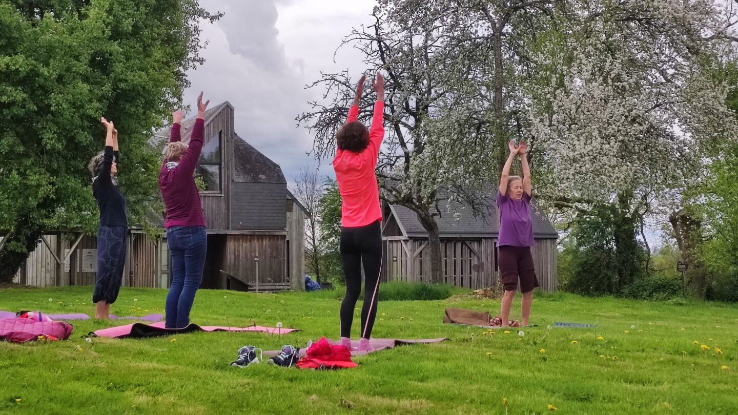 Yoga sous les poiriers en fleurs  Barenton