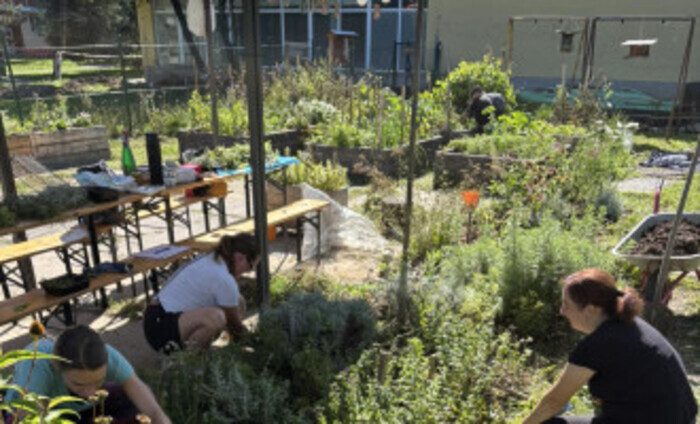 ZaKoZa - Jardin communautaire de Žilina ZaKoZa - Žilinská komunitná záhradkaZaKoZa - Žilinská komunitná záhradka Žilina