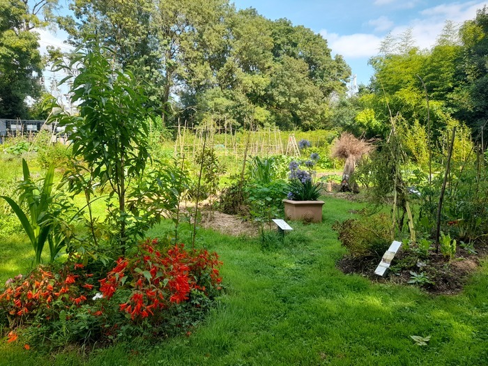 A la découverte des petites bêtes du jardin Potager de la gare Saint-Herblain