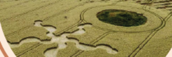 A l’écomusée du Montmorillonnais, conférence sur les agroglyphes
Dene HINES, site de Juillé, 86500 SAULGE, Saulgé