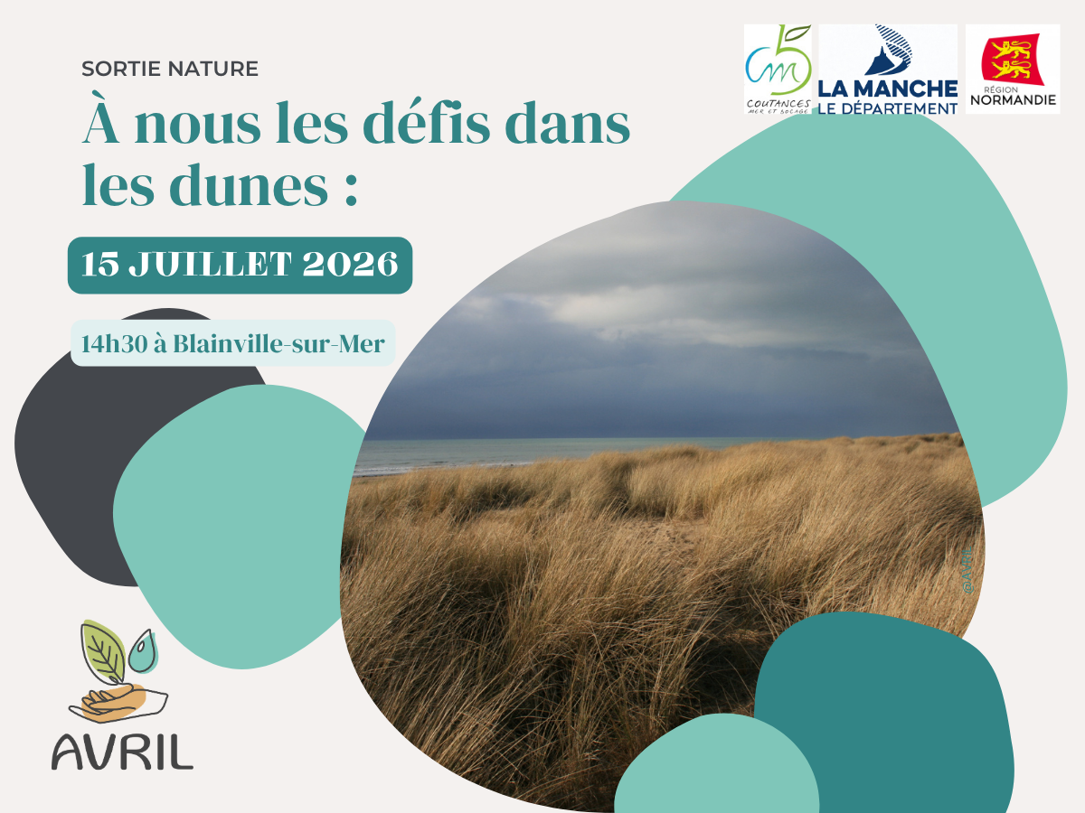 A nous les défis dans les dunes !  Blainville-sur-Mer 2026-07-15