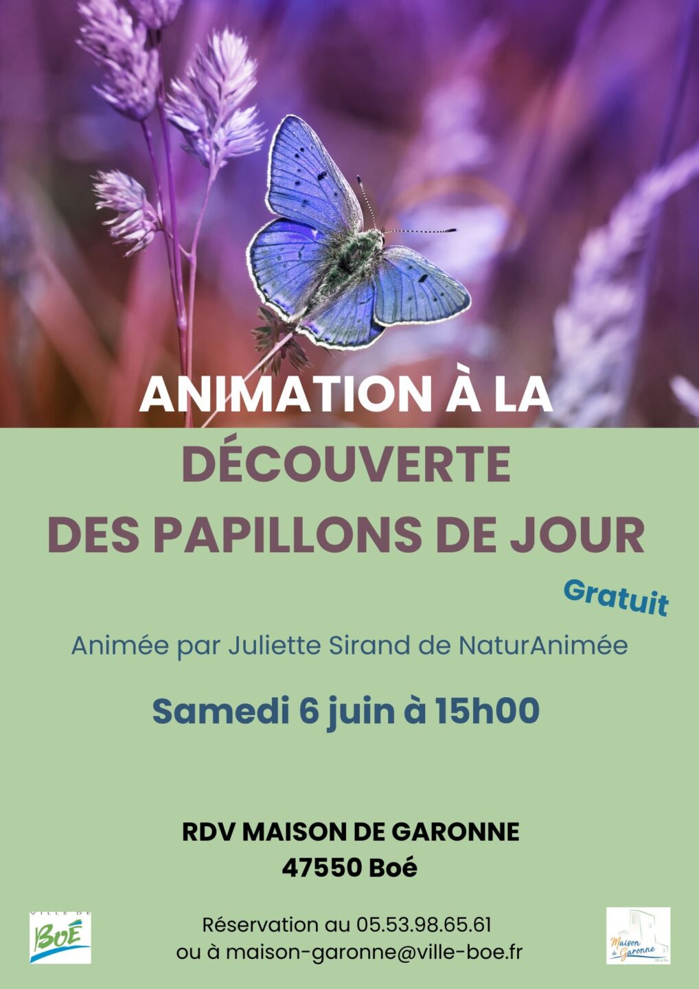 Animation à la découverte des papillons de jour Maison de Garonne Boé