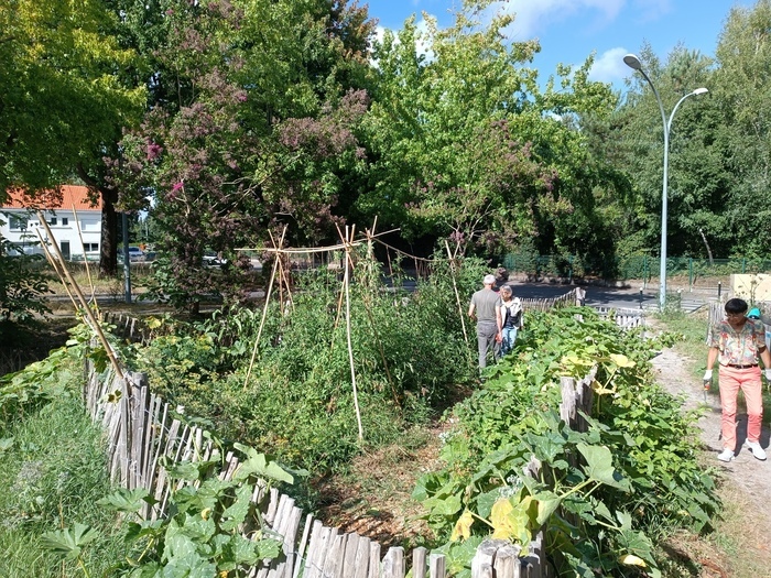 Animation au jardin partagé du Pin Sec, avec ECOS, Jardin partagé du Pin Sec, Nantes