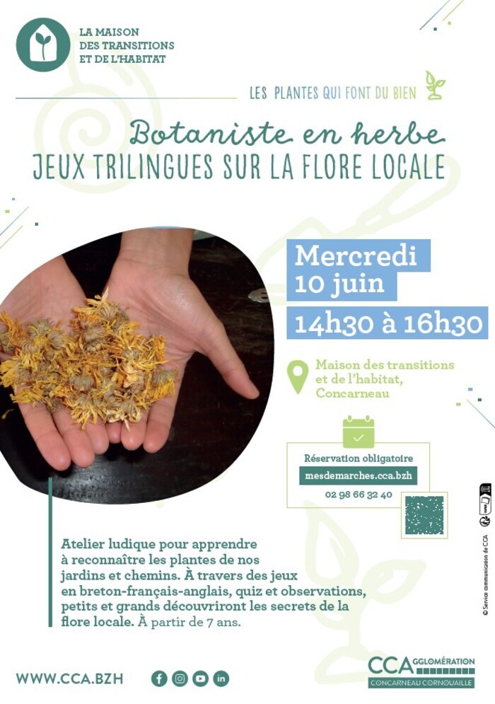 Animation famille : Botanistes en herbe Maison des transitions et de l'habitat Concarneau