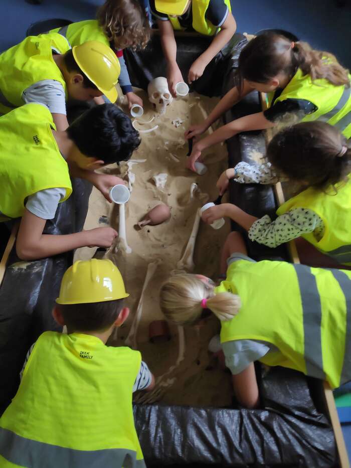 Animation jeune public : atelier "mandibules et compagnie : dans la peau d'un archéologue" Maisons des forêts d'Orival Grand-Couronne