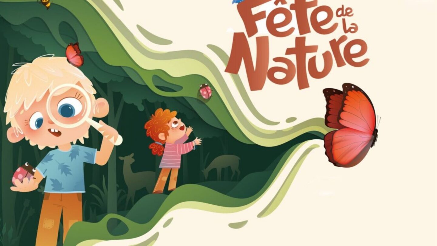 Après-midi dans les arbres Rue Gascoin Orthez