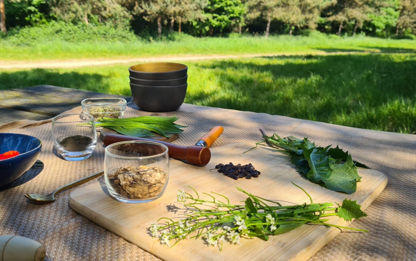 Atelier cuisine des plantes sauvage site ecomusée lieu-dit Juillé Saulgé 2026-07-22