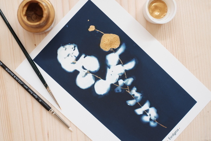 Atelier cyanotype Ateliers Octopodes Chambéry