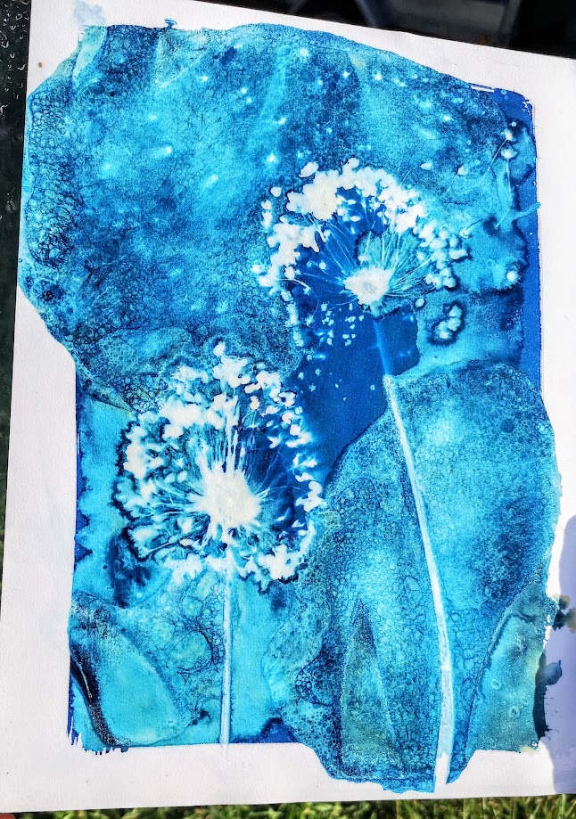 Atelier Cyanotype Voyage photographique 30 Place de Gomelange Civaux 2026-07-23