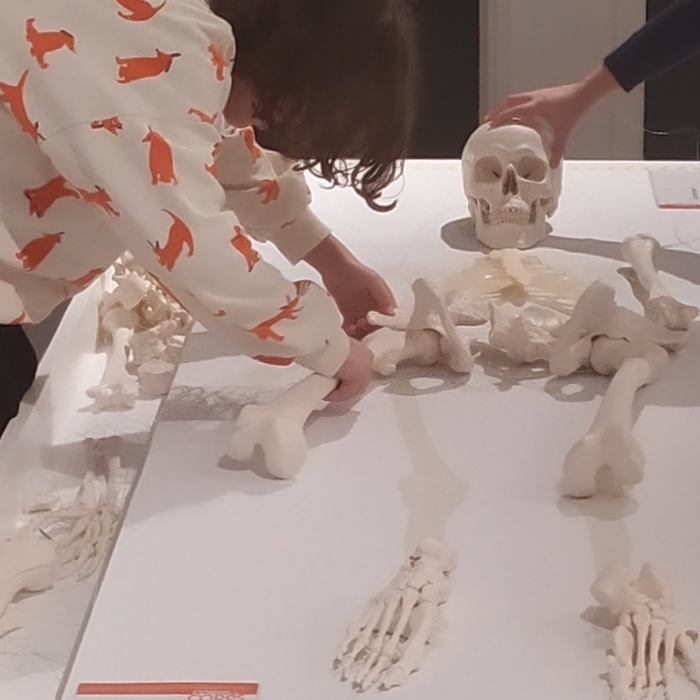 Atelier d'anthropologie funéraire Pavillon de Vauclair Bouconville-Vauclair