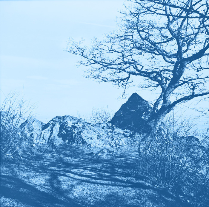Atelier de cyanotype – photographies d’archives !, Abri mémoire, Uffholtz