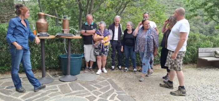 Atelier de distillation de plantes aromatiques, Prieuré de Serrabona, Boule-d’Amont