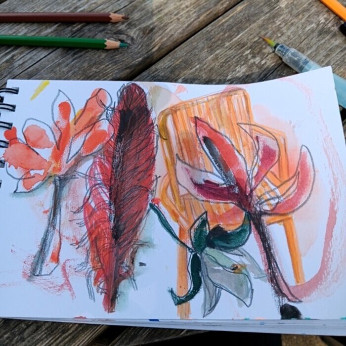 Atelier Dessiner au jardin, avec Béatrice Castoriano, Jardin de l’Annonciade, 20200 BASTIA, Bastia