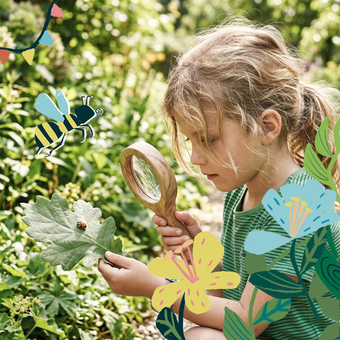 ATELIER D’OBSERVATION DES INSECTES